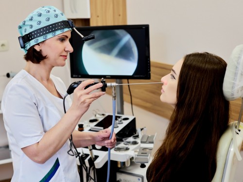 фото Галерея