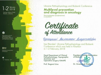 Чернецкий Валентин Владиславович Дипломы 6