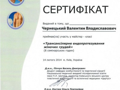 Чернецкий Валентин Владиславович Дипломы 9