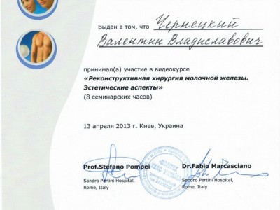 Чернецкий Валентин Владиславович Дипломы 2