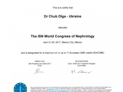 Чуб Ольга Ігорівна Дипломи 4