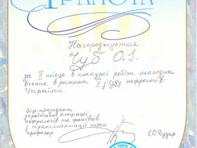 Чуб Ольга Ігорівна Дипломи 9