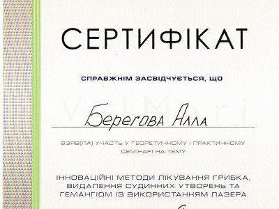 Берегова Алла Анатоліївна Дипломи 16