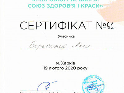 Берегова Алла Анатоліївна Дипломи 9
