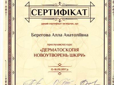 Берегова Алла Анатоліївна Дипломи 2