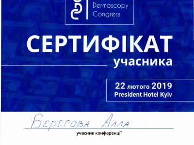 Берегова Алла Анатоліївна Дипломи 21